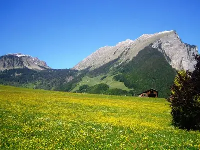 Ferienwohnung für 2 Personen (38 m²) in Au im Bregenzerwald 3/10