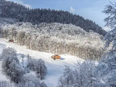 Ferienwohnung für 2 Personen (38 m²) in Au im Bregenzerwald 10/10