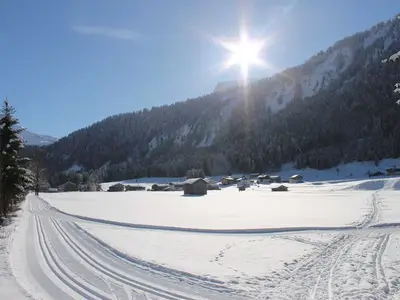 Ferienwohnung für 2 Personen (60 m²) in Au im Bregenzerwald 7/10