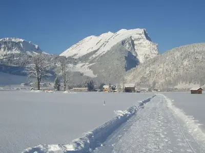 Ferienwohnung für 2 Personen (60 m²) in Au im Bregenzerwald 8/10