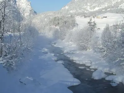 Ferienwohnung für 2 Personen (60 m²) in Au im Bregenzerwald 9/10