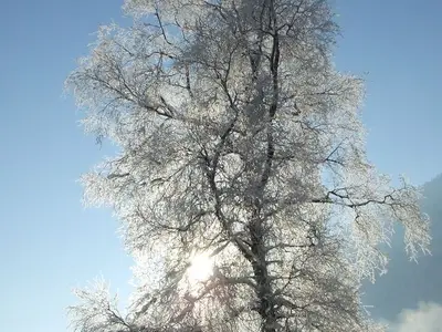 Ferienwohnung für 2 Personen (60 m²) in Au im Bregenzerwald 10/10