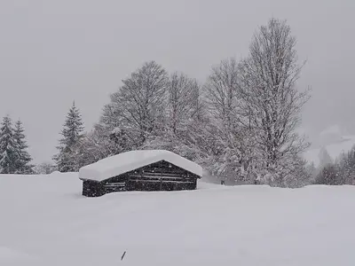 Ferienwohnung für 6 Personen (85 m²) in Au im Bregenzerwald 9/10