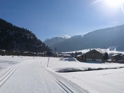 Ferienwohnung für 6 Personen (85 m²) in Au im Bregenzerwald 10/10