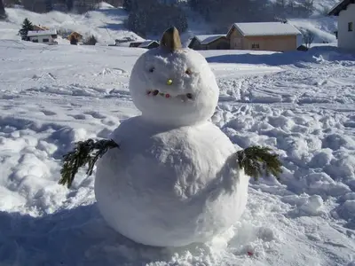 Ferienwohnung für 6 Personen (60 m²) in Au im Bregenzerwald 5/10