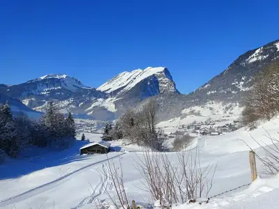 Ferienwohnung für 6 Personen (60 m²) in Au im Bregenzerwald 7/10