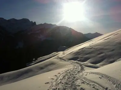 Ferienwohnung für 6 Personen (60 m²) in Au im Bregenzerwald 10/10