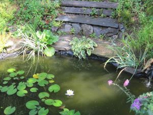 23055481-Ferienwohnung-5-Augustusburg-300x225-4