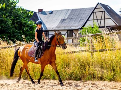 Urlaubshof Pferd-Spaß-Entspannung: Reitunterricht