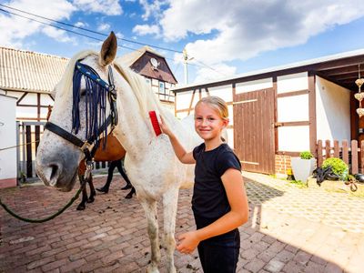 Pferdepflege auf dem Urlaubshof