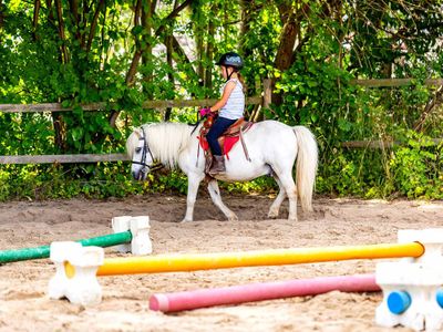 Reitunterricht auf dem Reitplatz