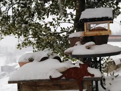 Garten Winter