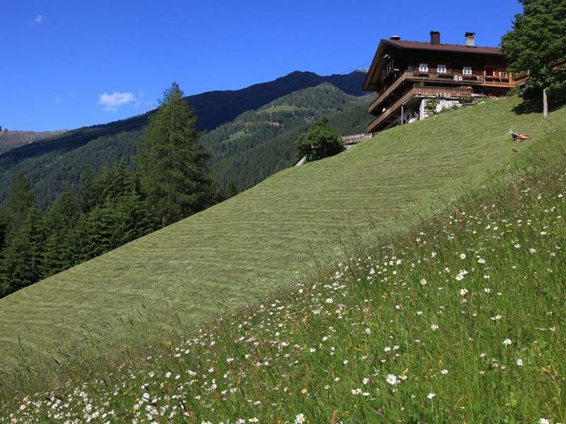 18620354-Ferienwohnung-6-Außervillgraten-800x600-2