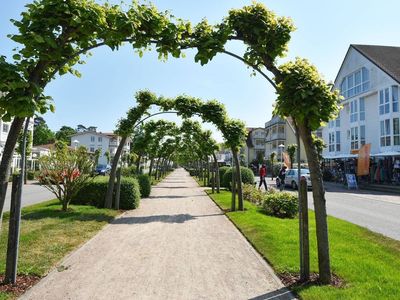 Ferienwohnung für 3 Personen (40 m²) in Baabe 10/10