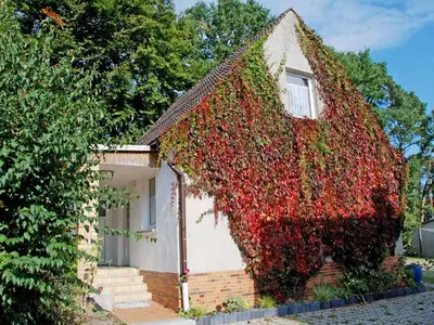 Ferienwohnung für 3 Personen (40 m²) in Baabe 4/10