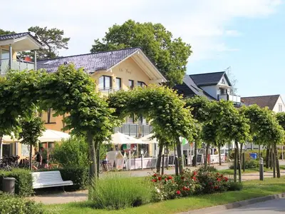 Ferienwohnung für 4 Personen (60 m²) in Baabe 5/10