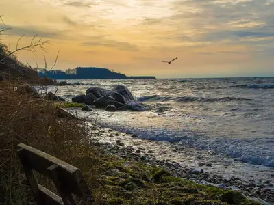 Ferienwohnung für 2 Personen (37 m²) in Baabe 5/10
