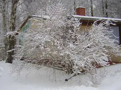 Ferienwohnung für 2 Personen (30 m²) in Baabe 2/10