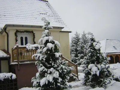 Ferienwohnung für 2 Personen (30 m²) in Baabe 6/10