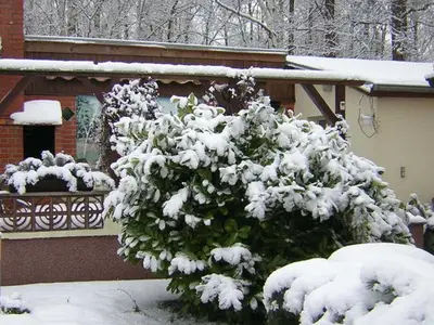 Ferienwohnung für 2 Personen (30 m²) in Baabe 7/10
