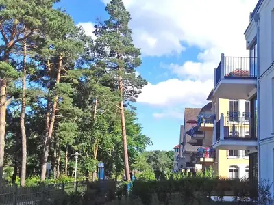 Ferienwohnung für 4 Personen (98 m²) in Baabe 4/10