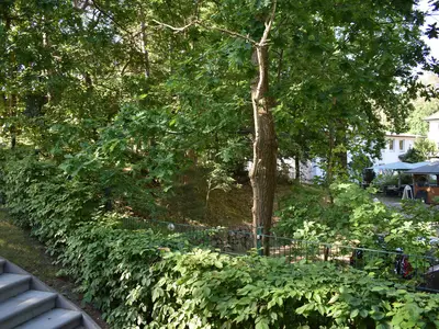 Ferienwohnung für 3 Personen (50 m²) in Baabe 3/10