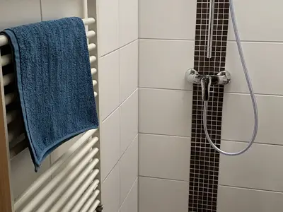 Ferienwohnung für 3 Personen (22 m²) in Baabe 10/10