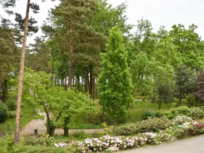 Ferienwohnung für 4 Personen (52 m²) in Baabe 10/10