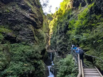 Ferienwohnung für 4 Personen (44 m²) in Bach (Kärnten) 3/10