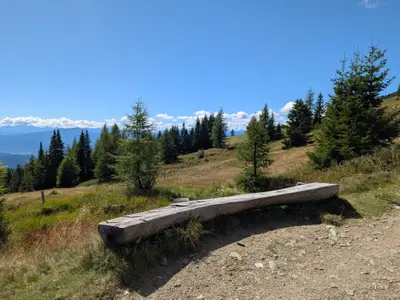 Ferienwohnung für 6 Personen (65 m²) in Bach (Kärnten) 9/10