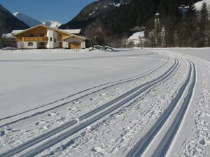 23488028-Ferienwohnung-3-Bach (Tirol)-300x225-3