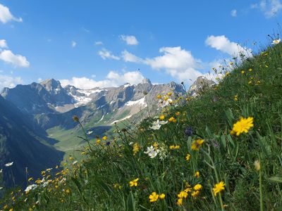 Die Berge im Lechtal