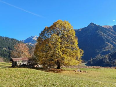 Herbst im Lechtal