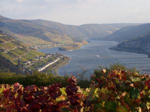 18806077-Ferienwohnung-4-Bacharach-300x225-5