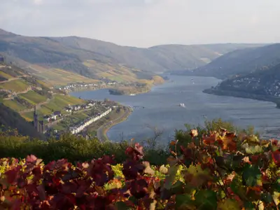 Rhein und Weinberge im Herbst