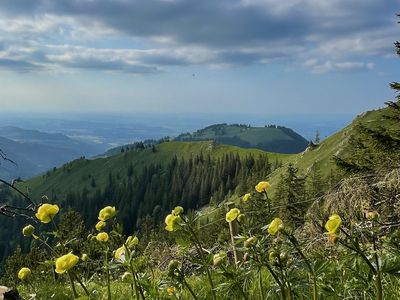 Wandern in der nächsten Umgebung