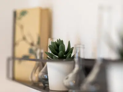 Apartment 54