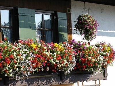 Blumenschmuck am Haus Schuster-Bestl