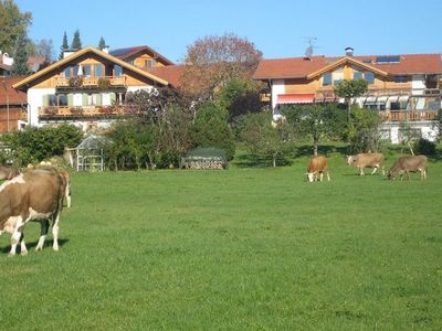 Ferienwohnung für 2 Personen (43 m²) in Bad Bayersoien 3/10