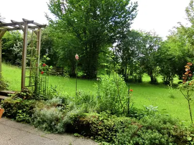 ViewSummer