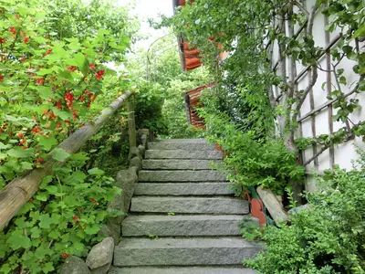 GardenSummer