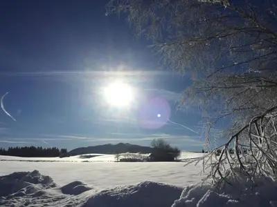 AreaWinter20KM