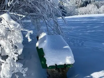 Ferienwohnung für 4 Personen (60 m²) in Bad Bayersoien 10/10