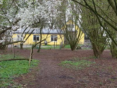 Außenansicht des Gebäudes. Blick durch blühende Bäume auf das Haus