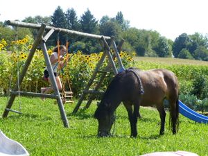 19355203-Ferienwohnung-3-Bad Bellingen-300x225-4