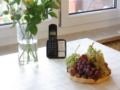 Ferienwohnung für 2 Personen (33 m²) in Bad Bellingen 7/7