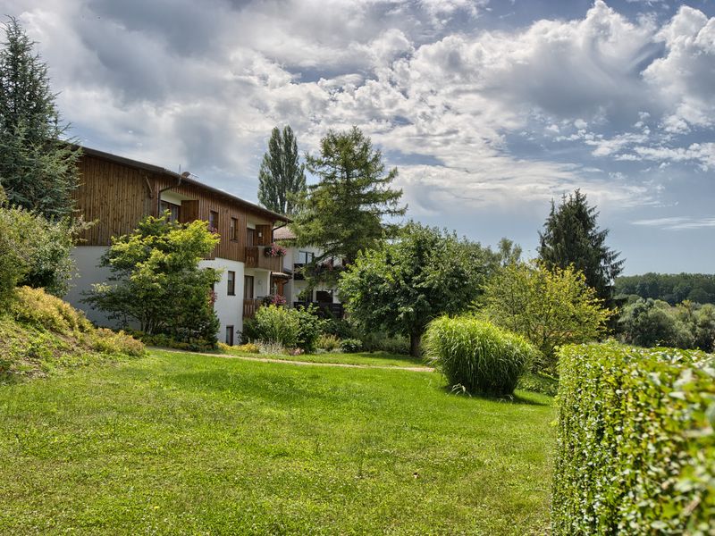 19195140-Ferienwohnung-2-Bad Bellingen-800x600-1