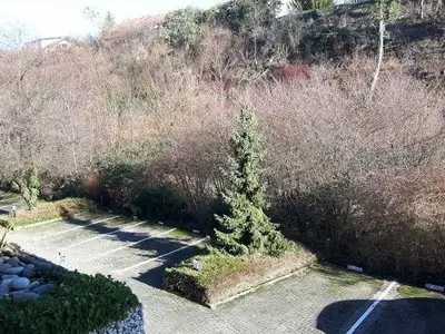 Ferienwohnung für 2 Personen (39 m²) in Bad Bellingen 6/9