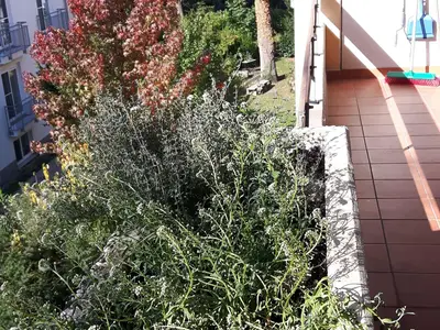 Ferienwohnung für 2 Personen (42 m²) in Bad Bellingen 8/10