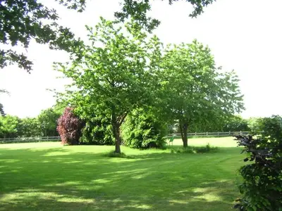 Ferienwohnung für 4 Personen (65 m²) in Bad Bentheim 10/10